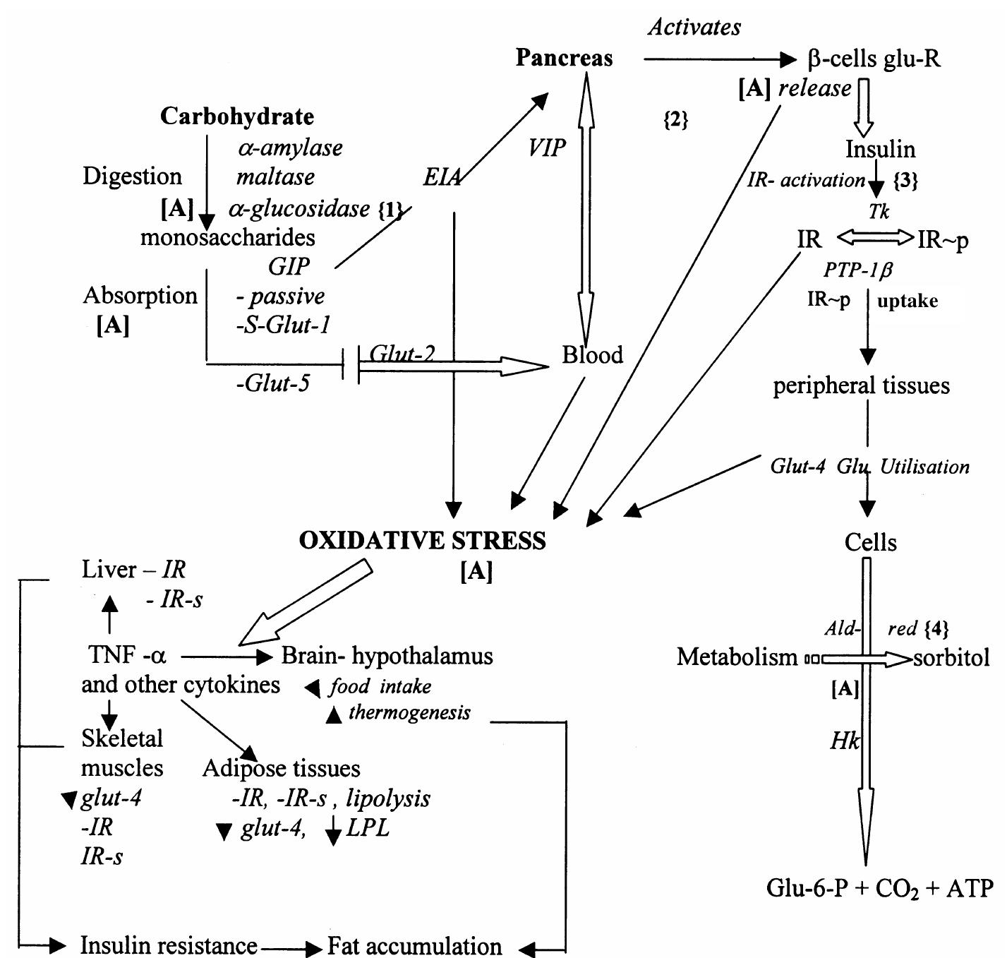 Figure 1 - from Diabetes mellitus and multiple therapeutic