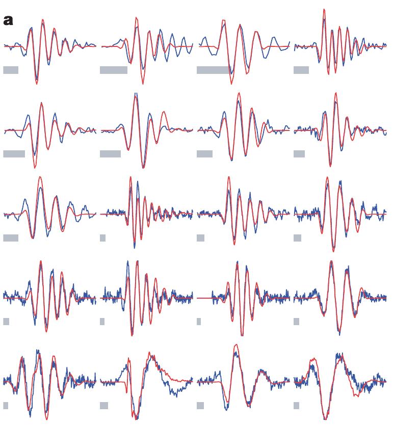 (PDF) Efficient auditory coding