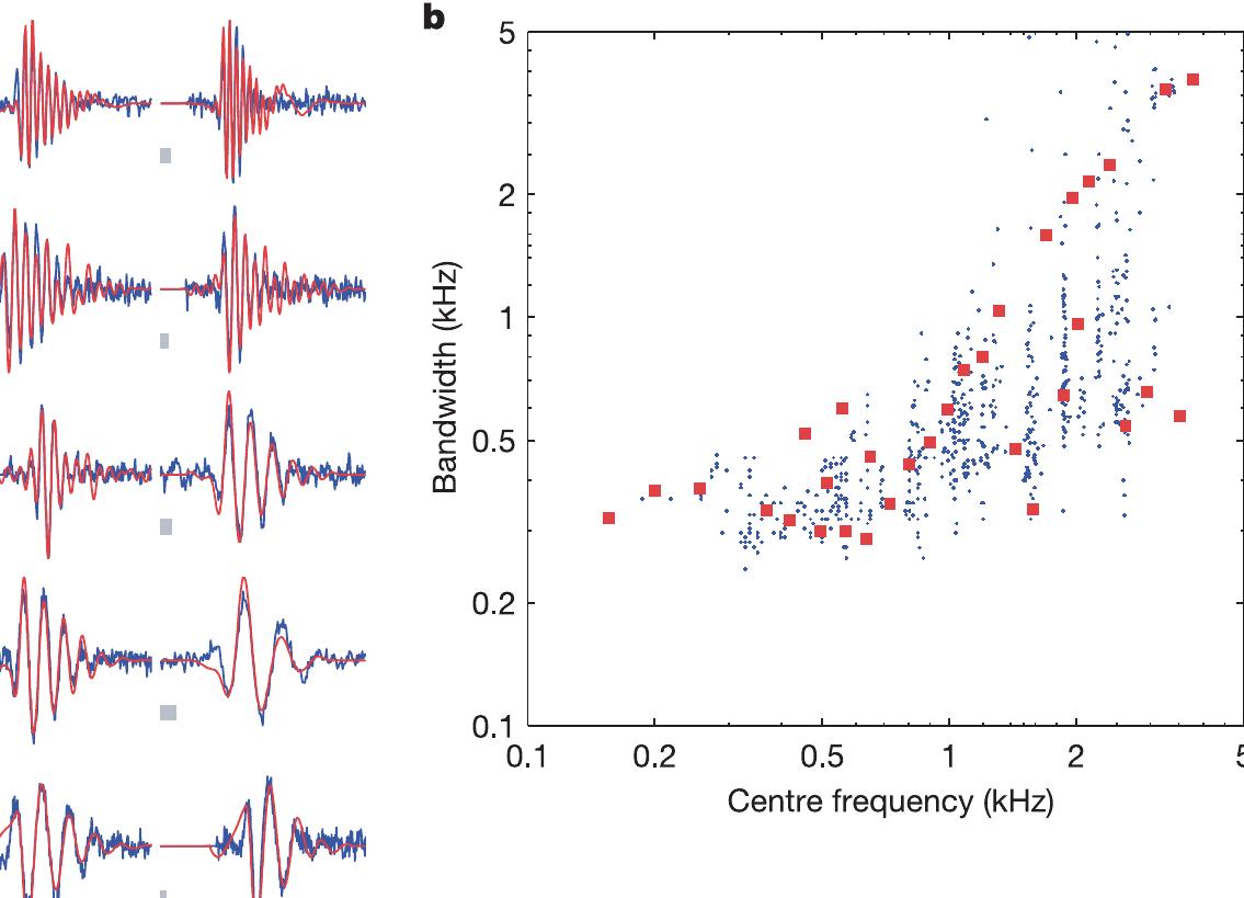 (PDF) Efficient auditory coding