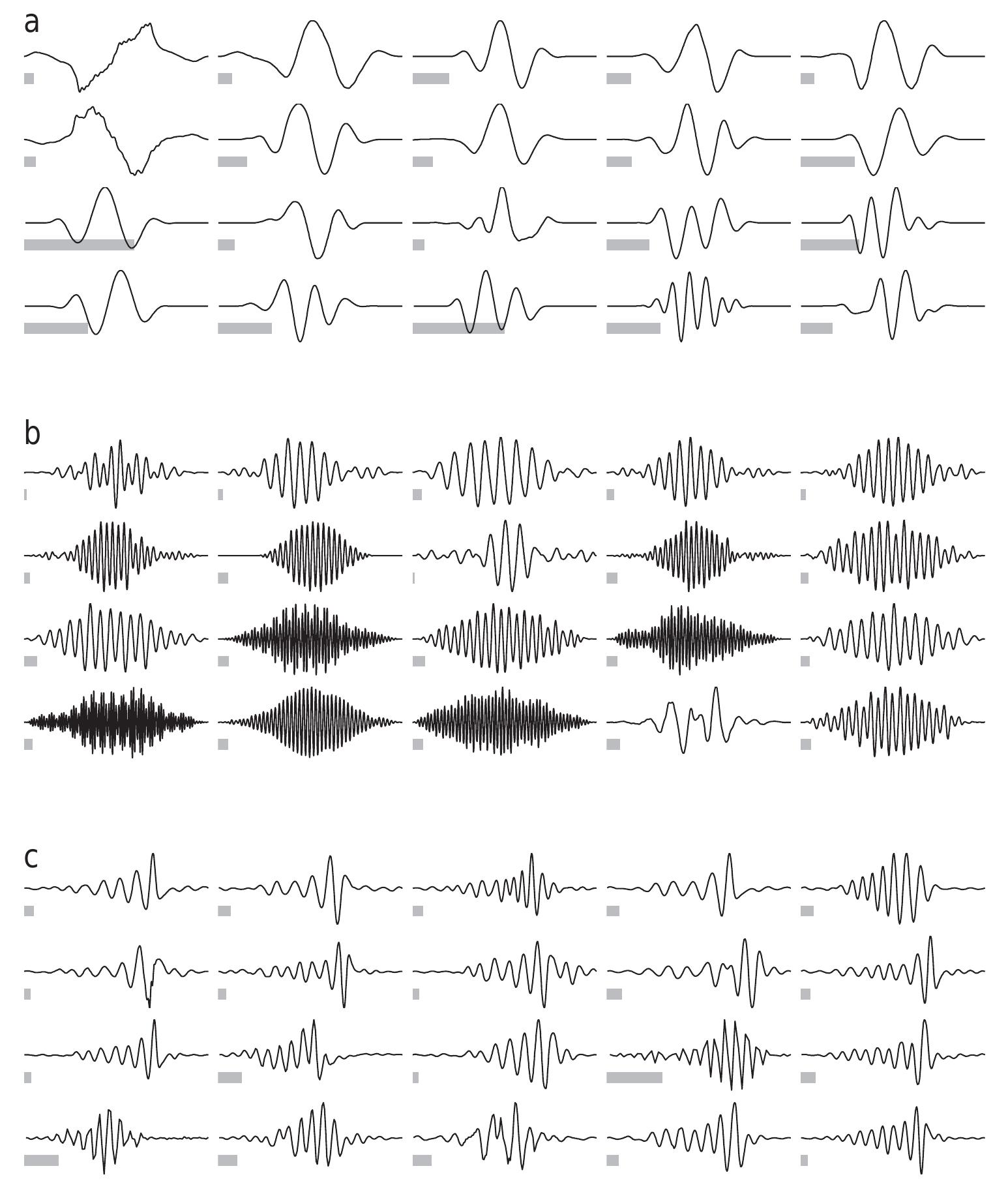 (PDF) Efficient auditory coding