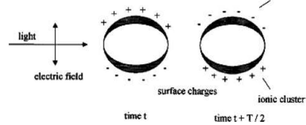 Figure 4 - from Interparticle coupling effect on the surface