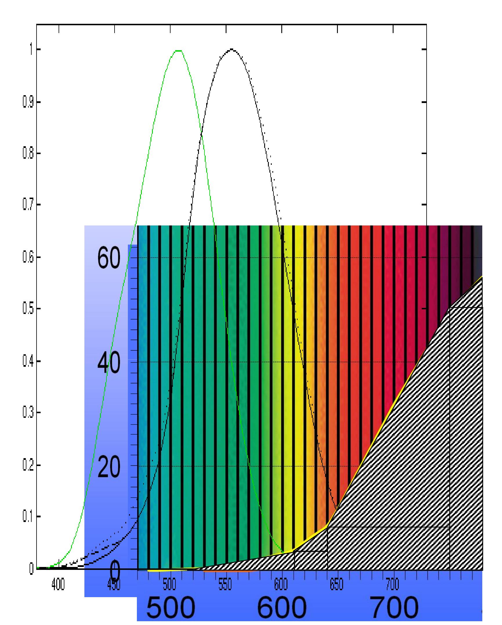 PDF) LAMP LIFE ACCELERATED LIFE TEST-REPRODUCTION SQUIRREL CAGE