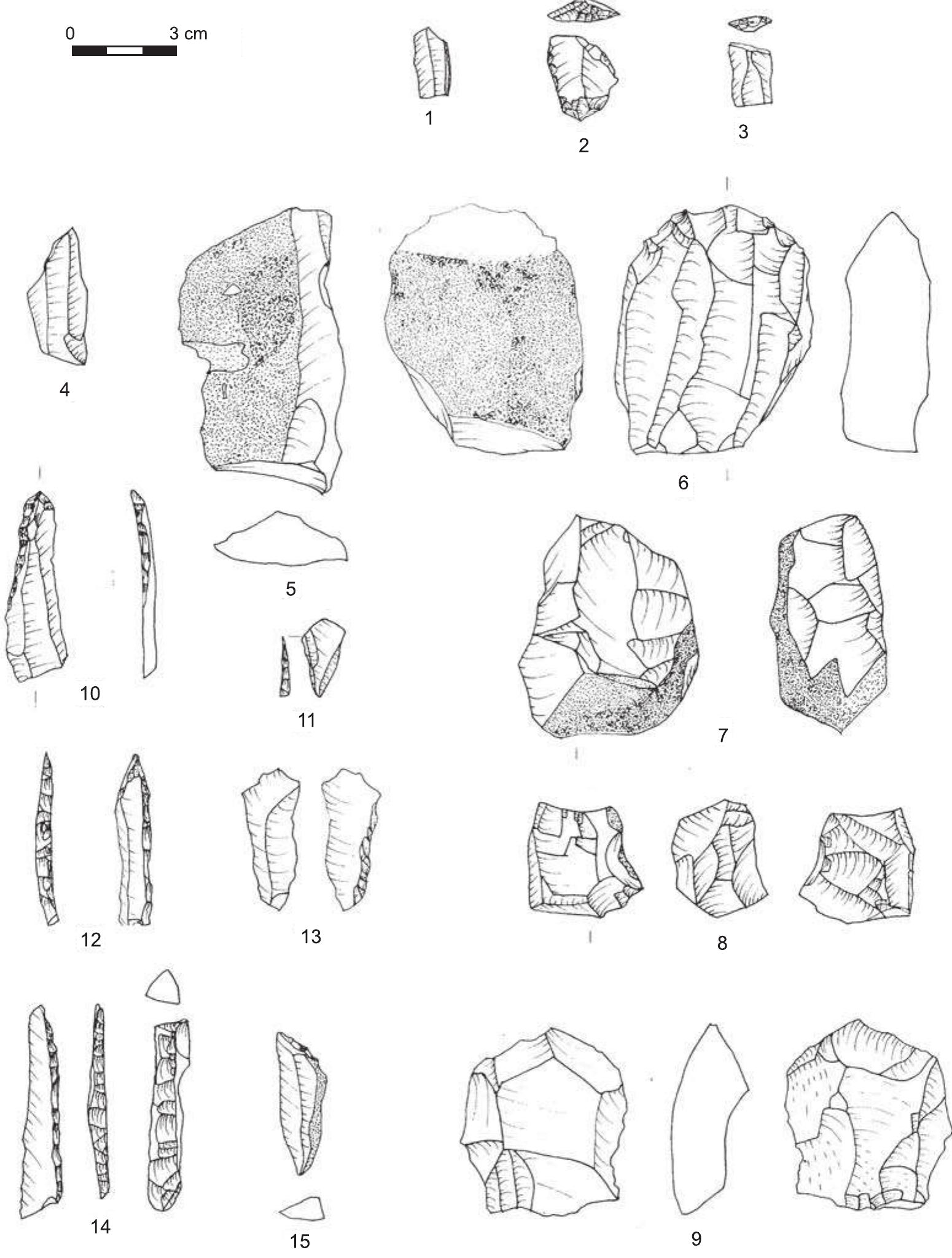 Lithic Analysis Examples Example of the dense spreads of lithics, bones, and shells