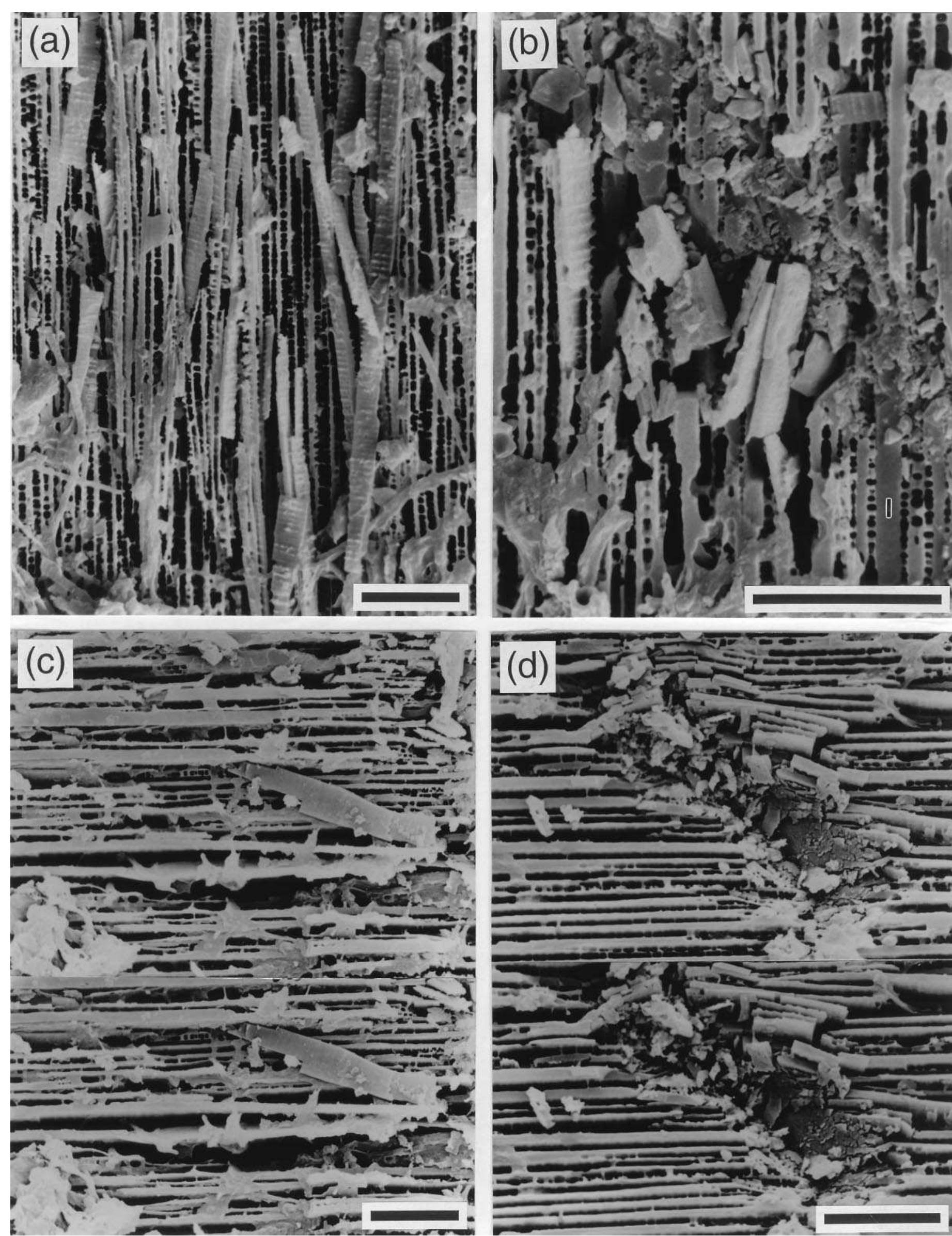 Figure 2 - from The role of intragranular microtextures and