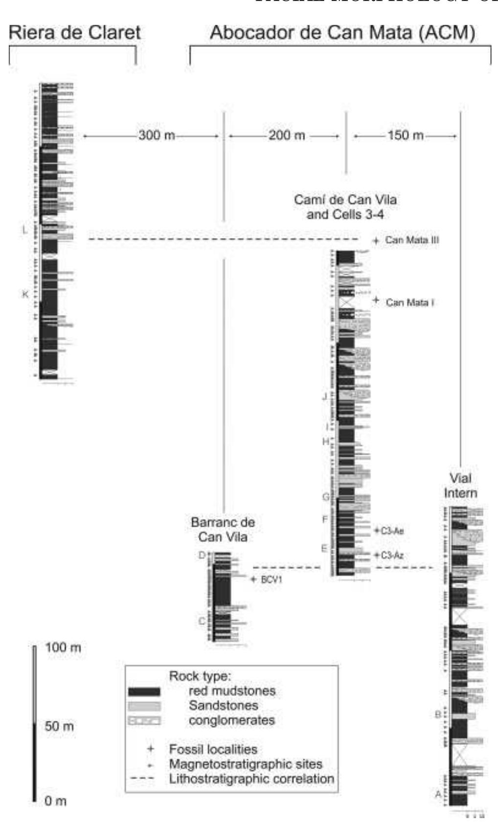 Figure 1 - from First partial face and upper dentition of