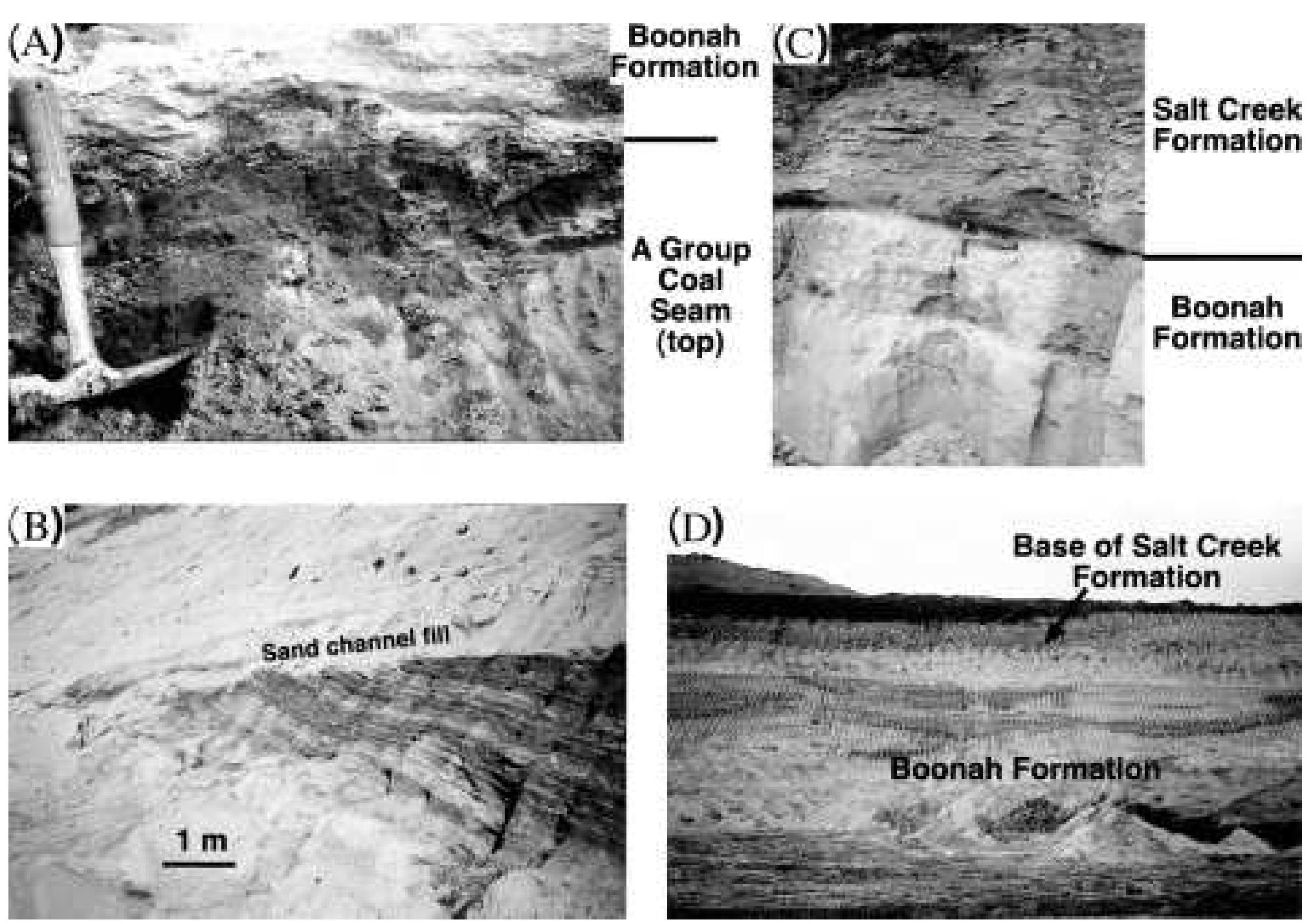 (PDF) Geology of coal-bearing Palaeogene sediments, onshore Torquay ...