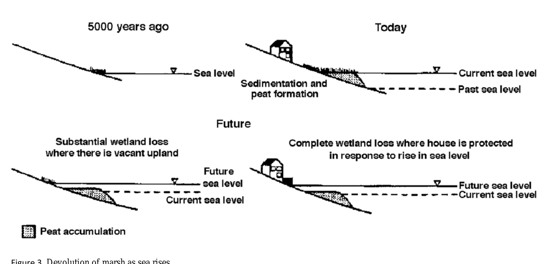 Low Rise Embankment Source: titus, james g.,