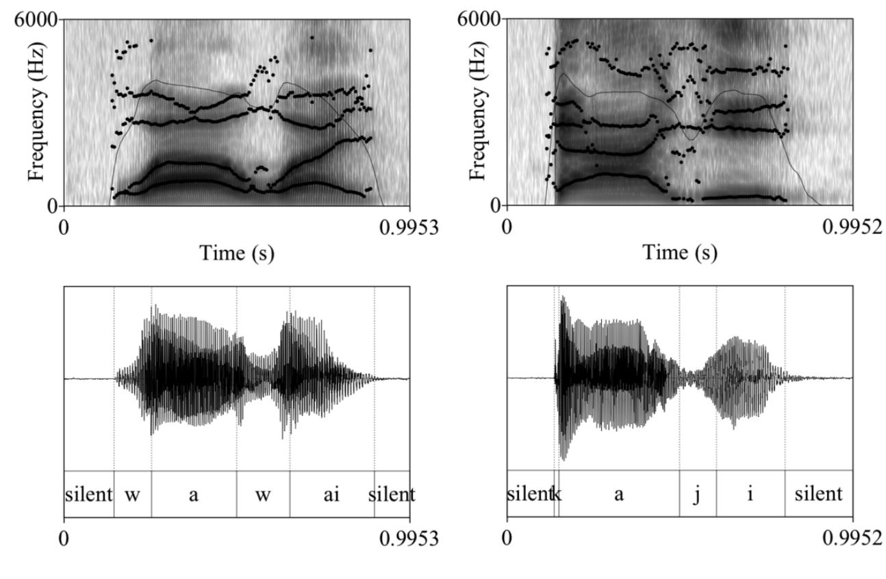 A phonetic description and phonemic analysis of Jowai-Pnar