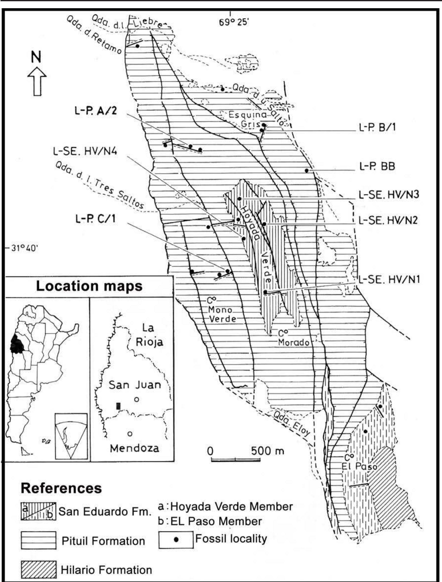 Geological map of the paleozoic outcrops of the barreal hill
