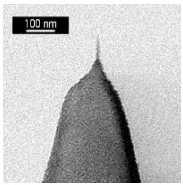 (PDF) Measurement of the nanoscale roughness by atomic force microscopy ...