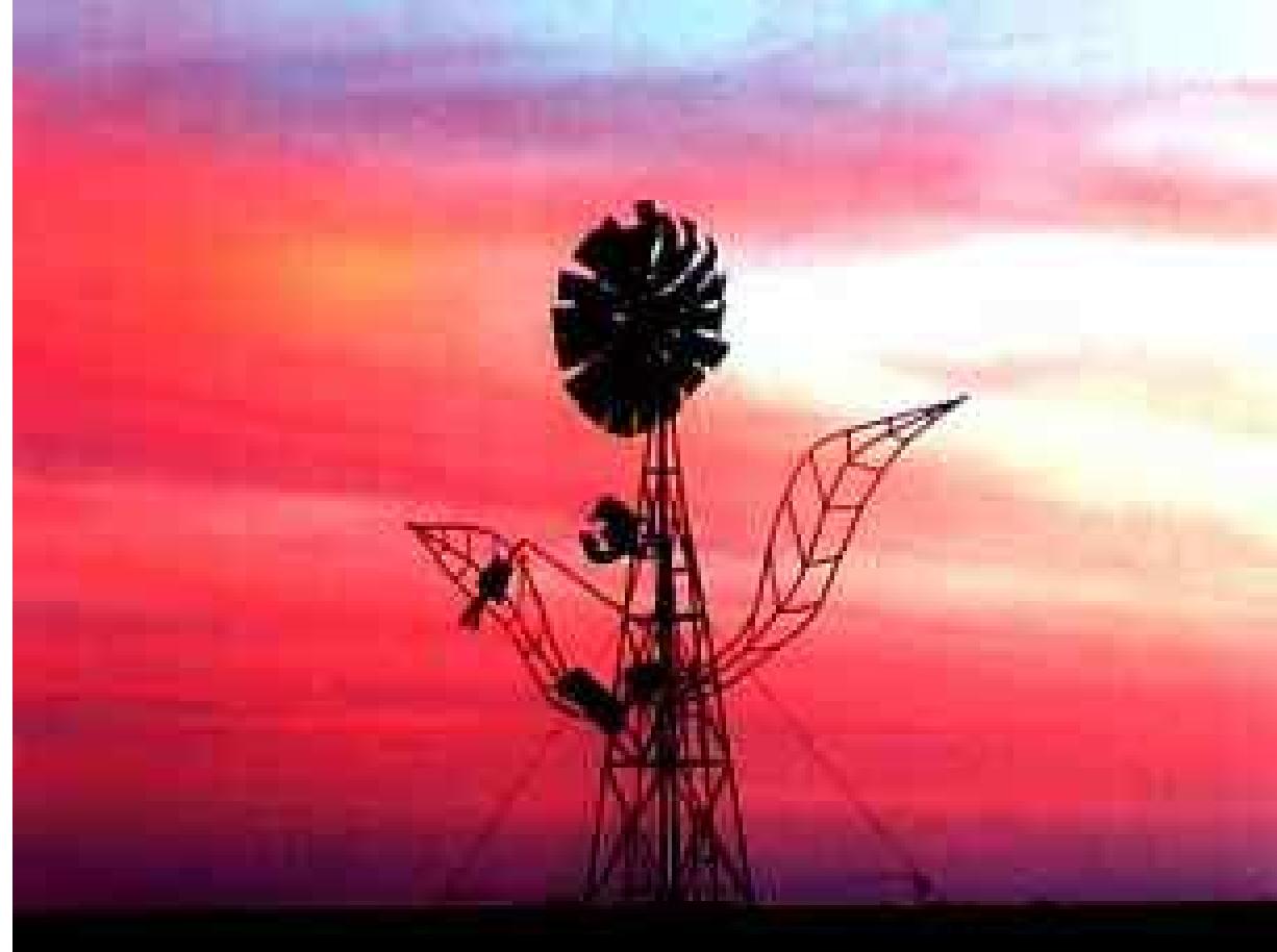 WINDMILL-FLOWER @ SUNSET, ALBERRIE CREEK 2000 (Puoto. RoBIN COOKE) embrionic Techno Healing Machine had proved itself. Earthdream IV was held in June ‘98 at Sub-city, the old chocolate factory above the Nas-car track in Sunshine, Melbourne, run as an arts village by Tim Meyer. This major gig featured the Mutoid Waste Fire Organ and Mega Zortche’s incredible Tesla Coil together with the colour-frequency- chakra-sequencing of our Band ‘Manual Overide’. The embrionic Techno Healing Machine had proved itself.