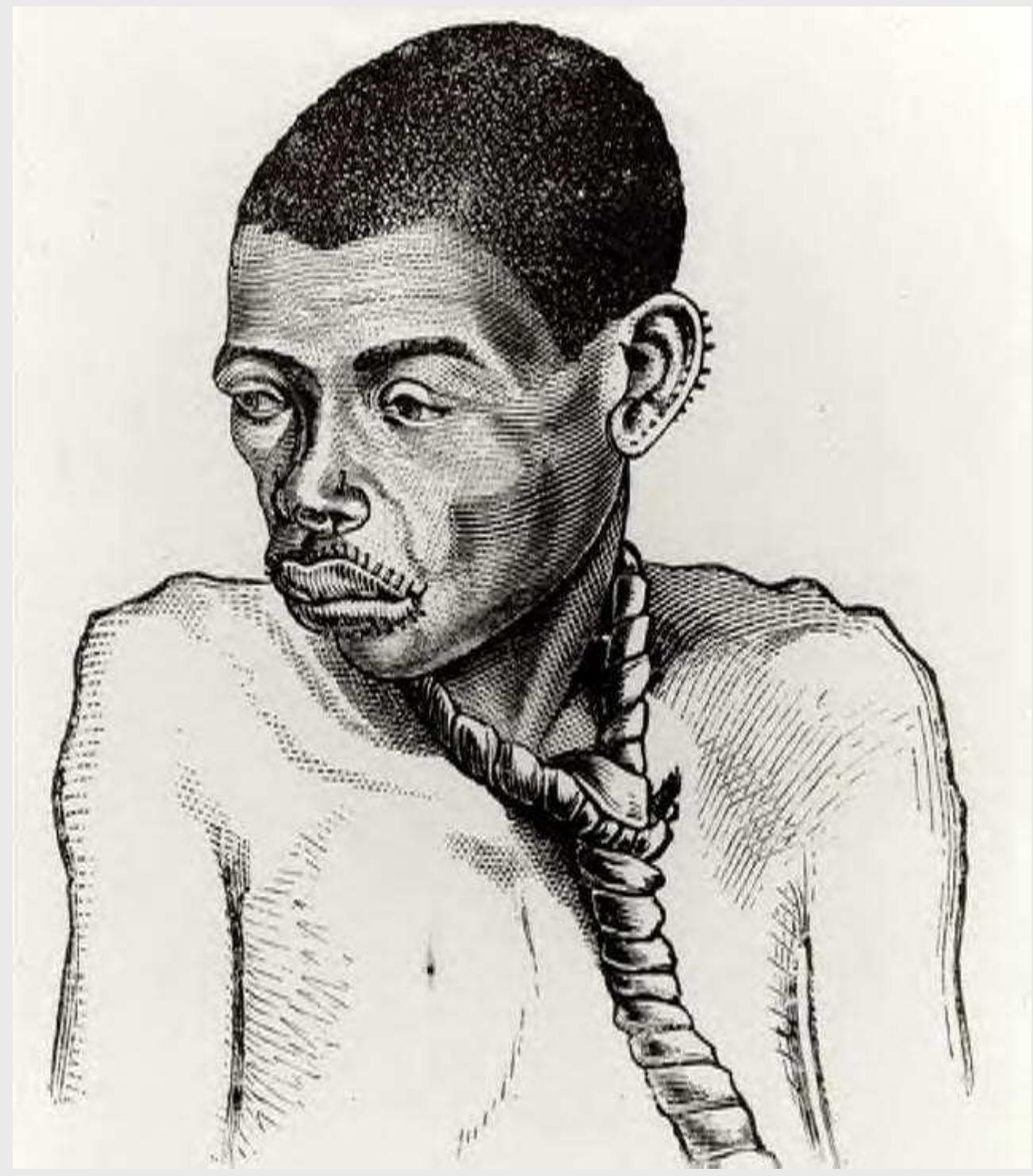 (PDF) william lynch letter