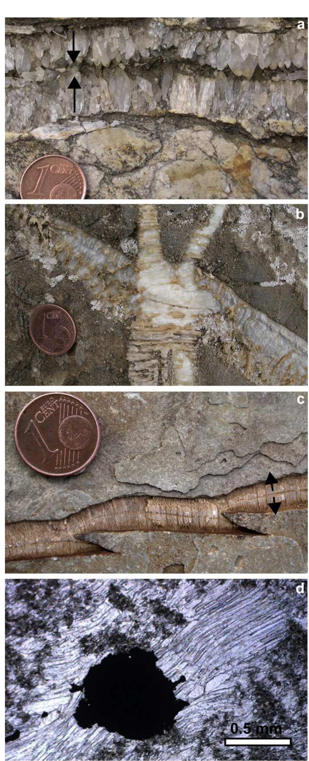A review of the formation of tectonic veins and their microstructures