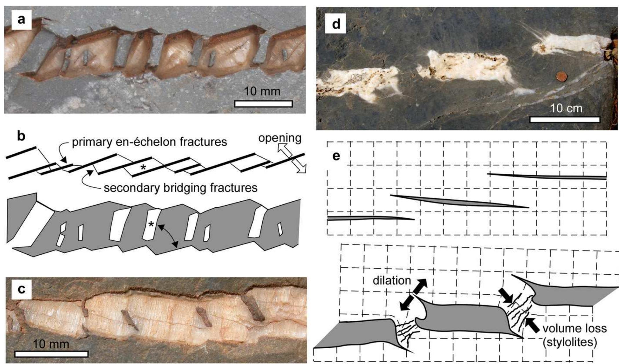 A review of the formation of tectonic veins and their microstructures