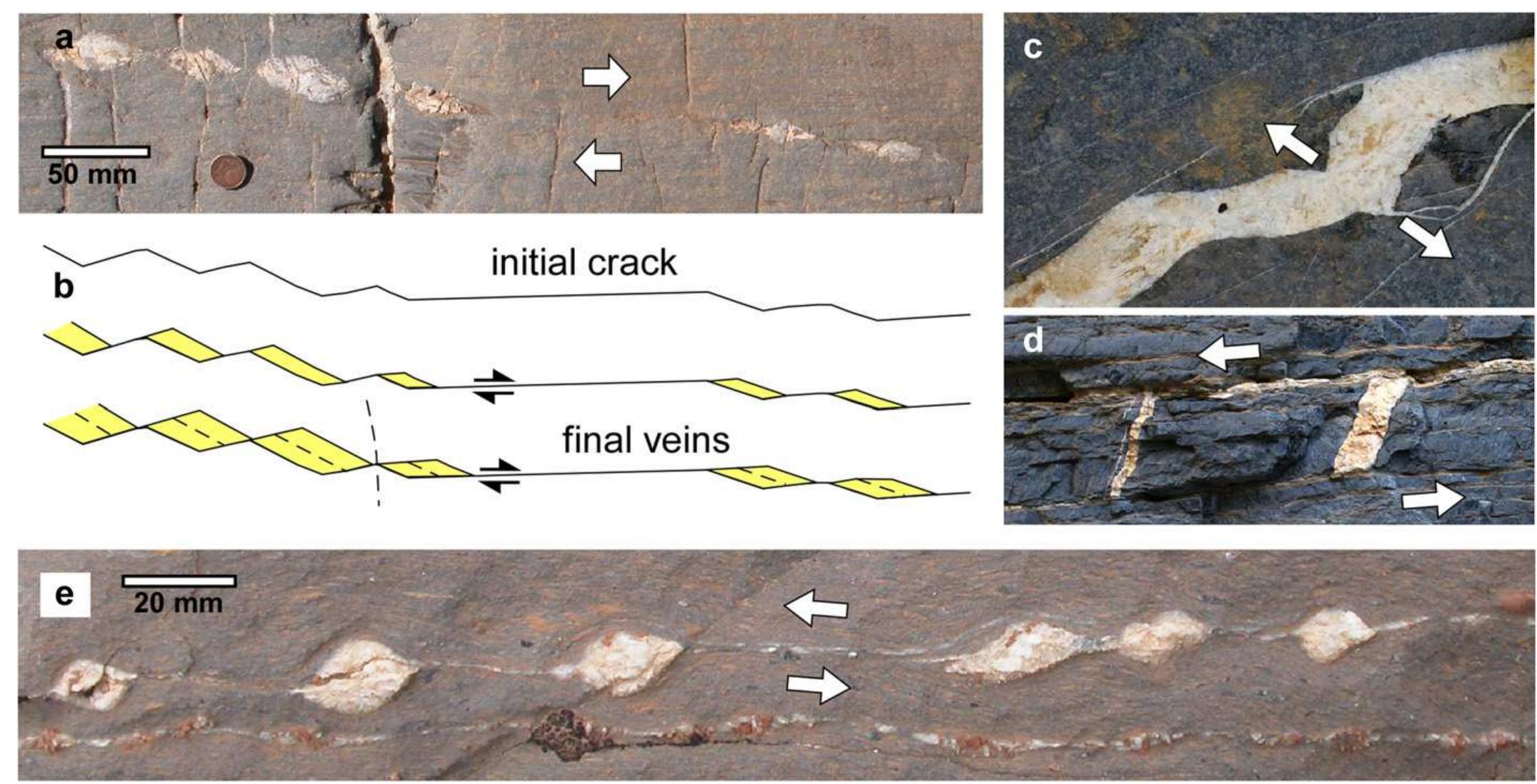 A review of the formation of tectonic veins and their microstructures