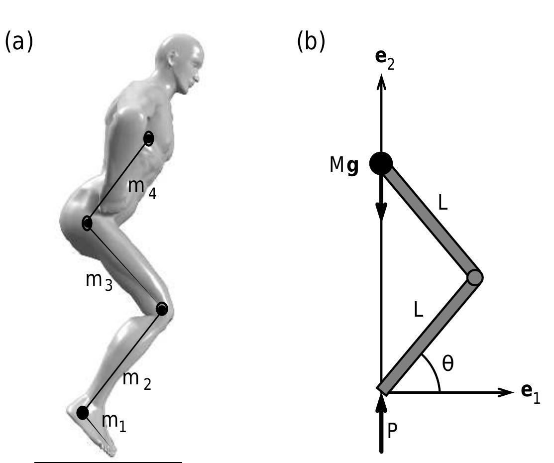 Figure 34 - from Human body dynamics