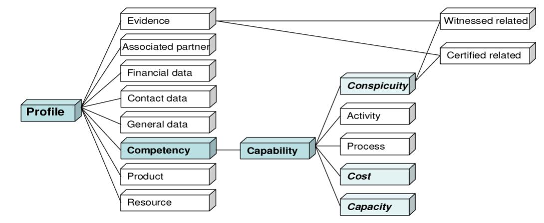 Profile/competency model.