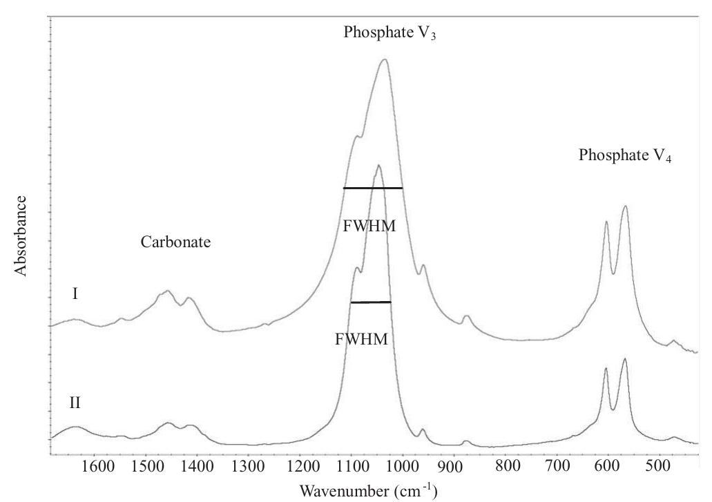 Teeth Plot Figure 1 - from Variations in Atomic Disorder in Biogenic