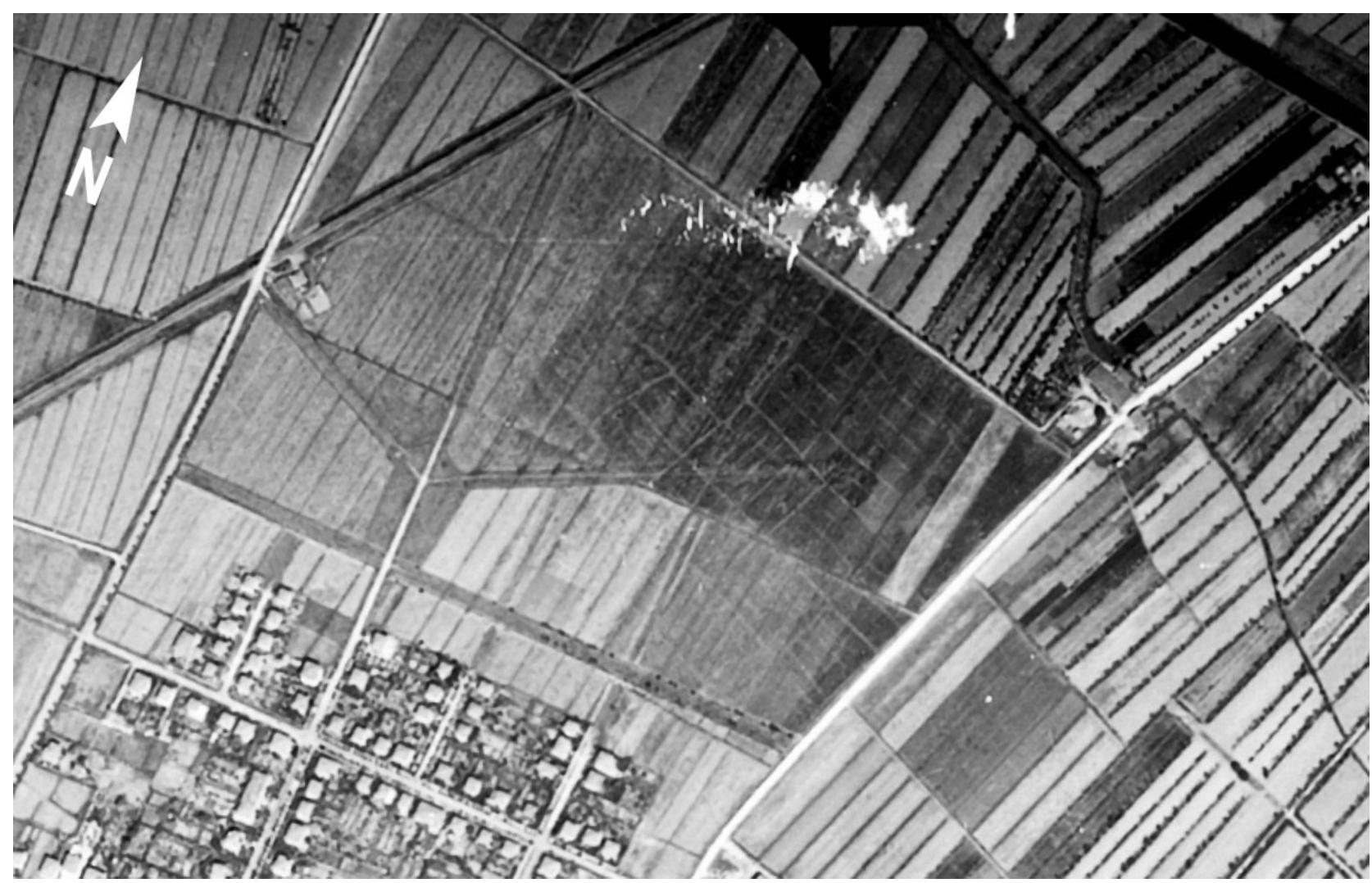Fig. 9.8. Localita i Passi. In the photo taken by the RAF on 20 August 1943 (strip 3645, frame 4122), the traces of the Roman agricultural division may easily be seen. 