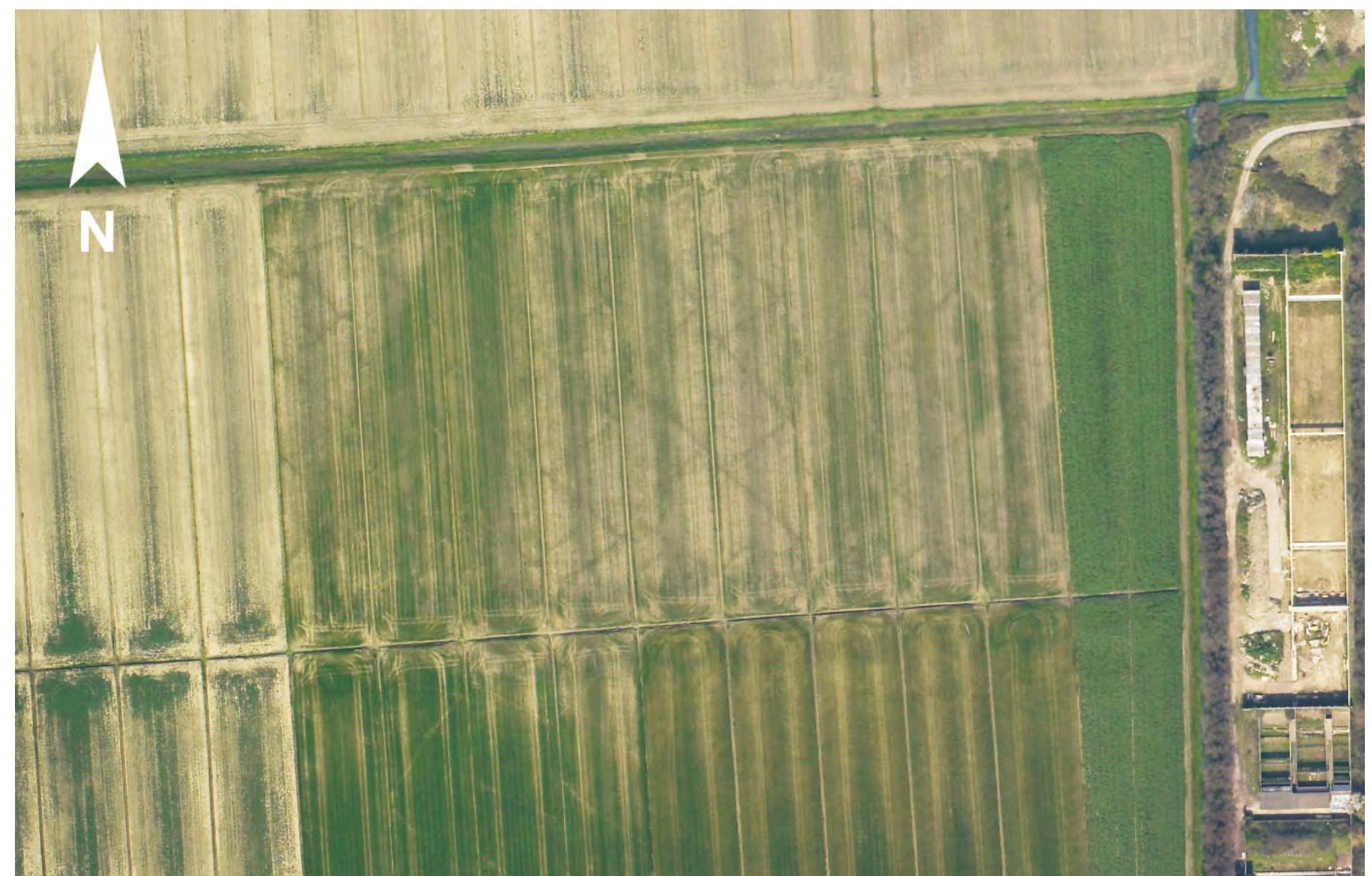 Fig. 9.13. Traces of agricultural divisions in a photograph of the Province of Pisa of 2010 (strip 8, frame 25213). 