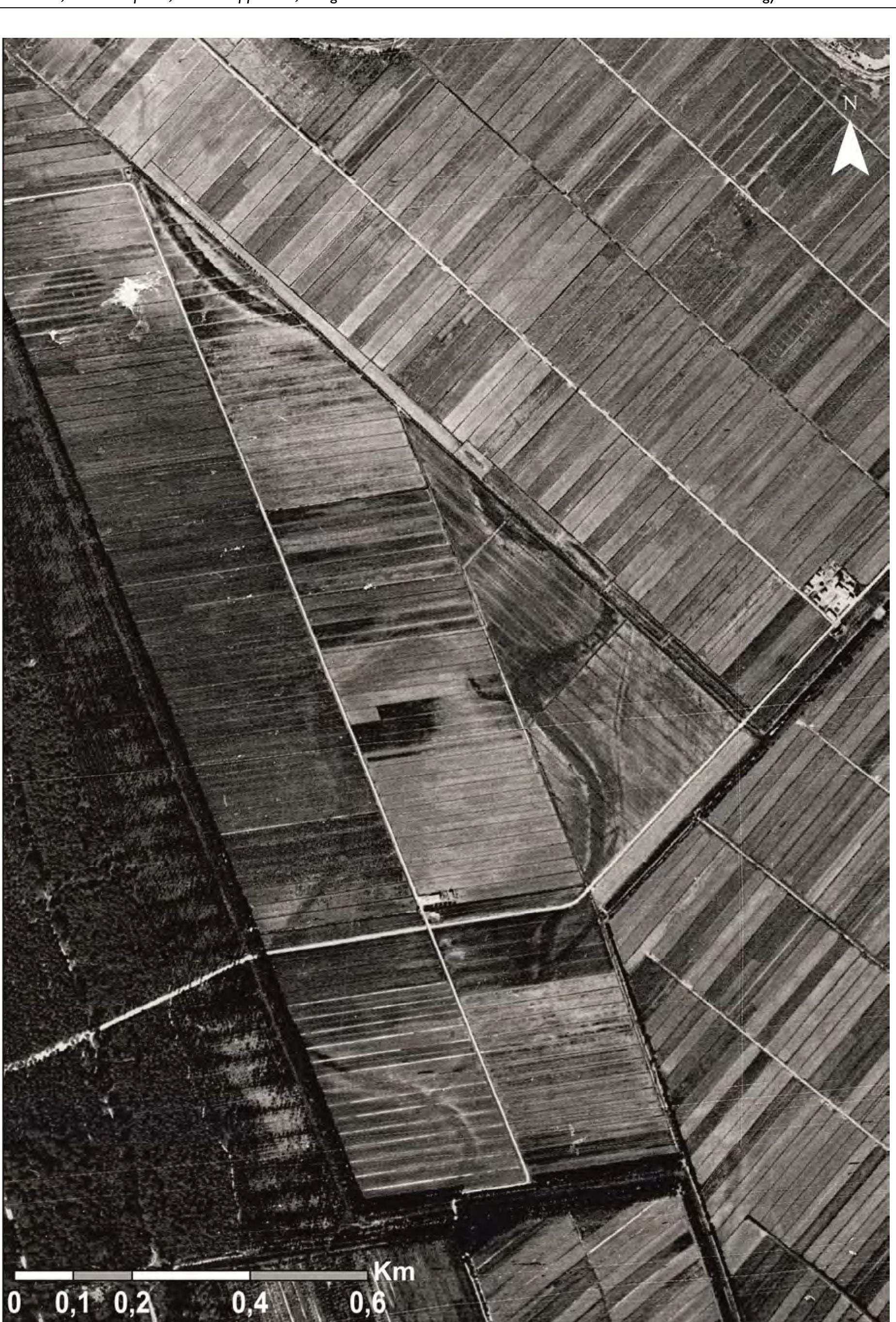 Fig. 9.15. Traces detected near Lake Massaciuccoli. The winding pattern and the different colour between internal paleochannel areas and floodplain are evident. 