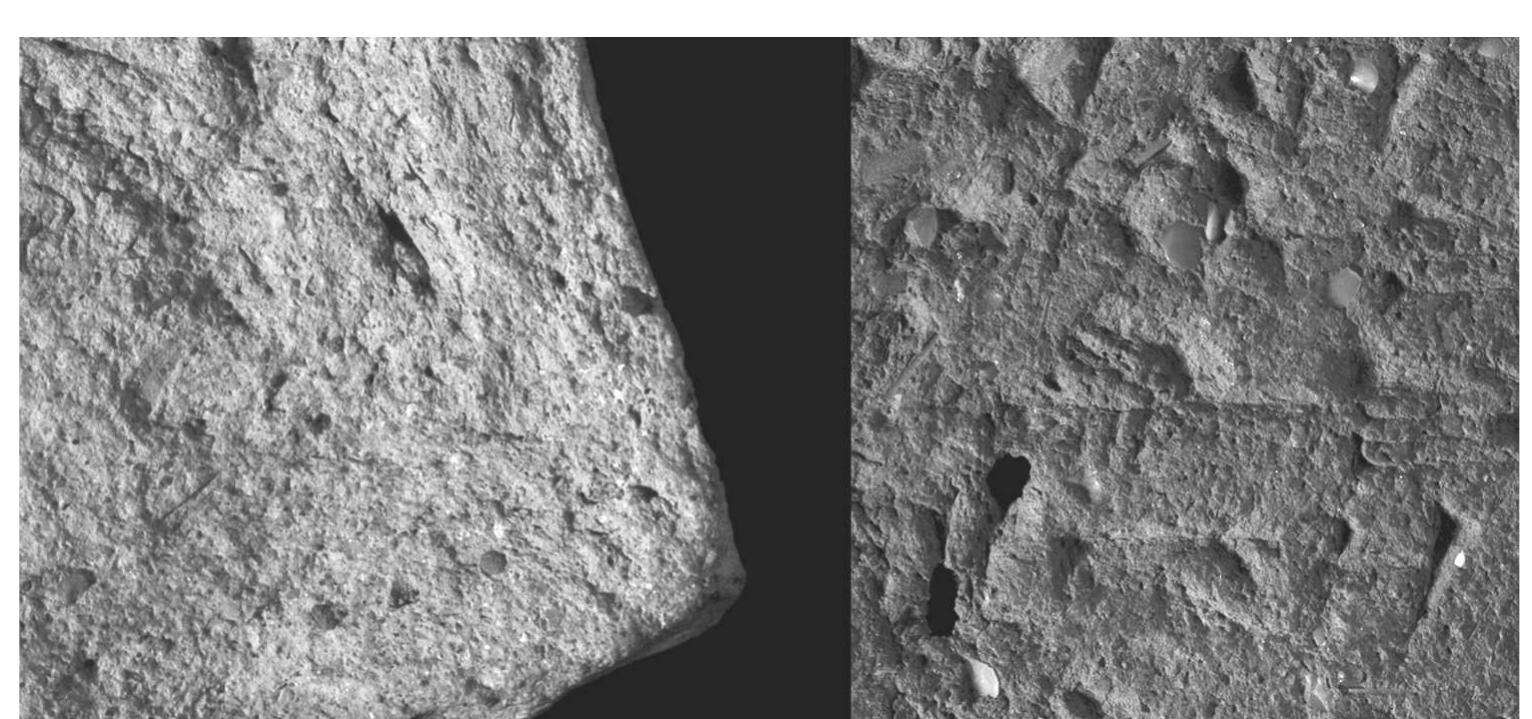 1 clay tablets containing different inclusions: (jeft)