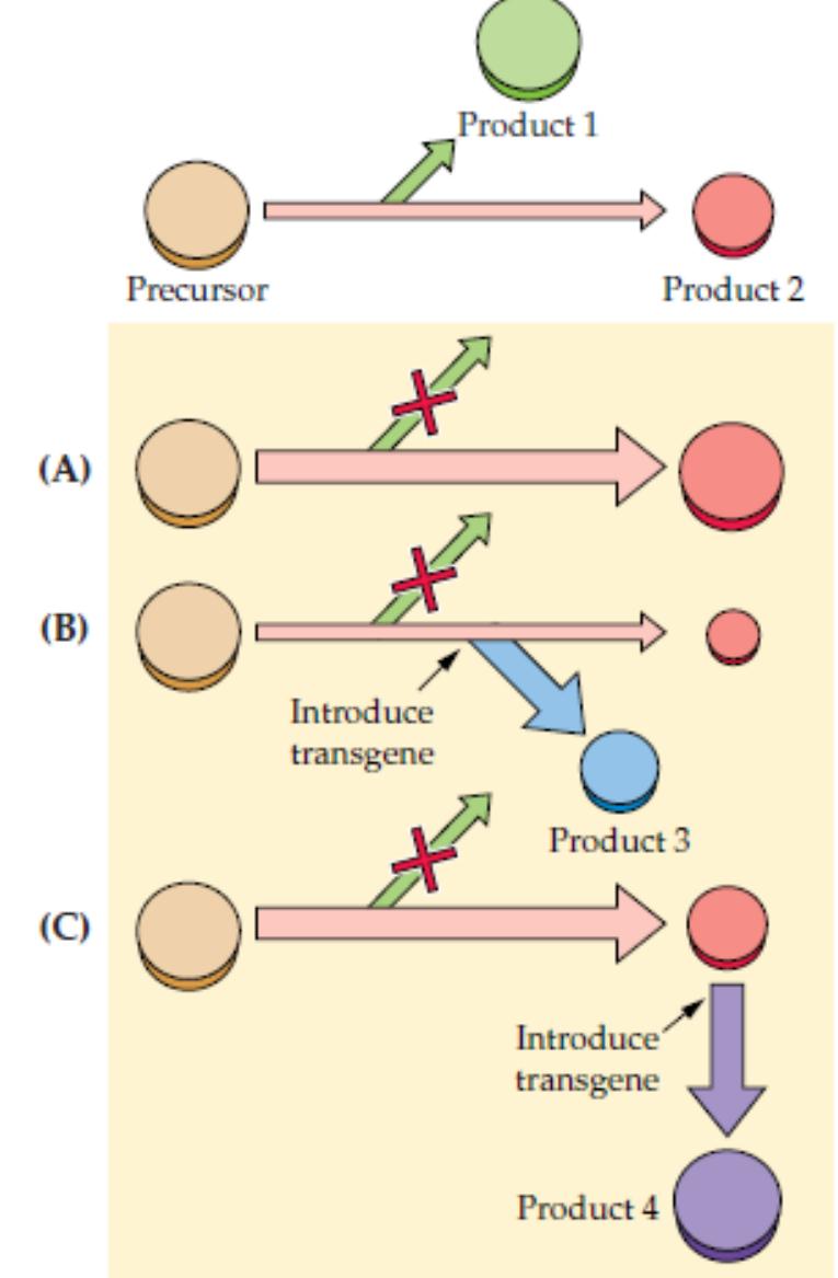 アルチビオ Flex-December 1990 : Free Download, Borrow, and Streaming