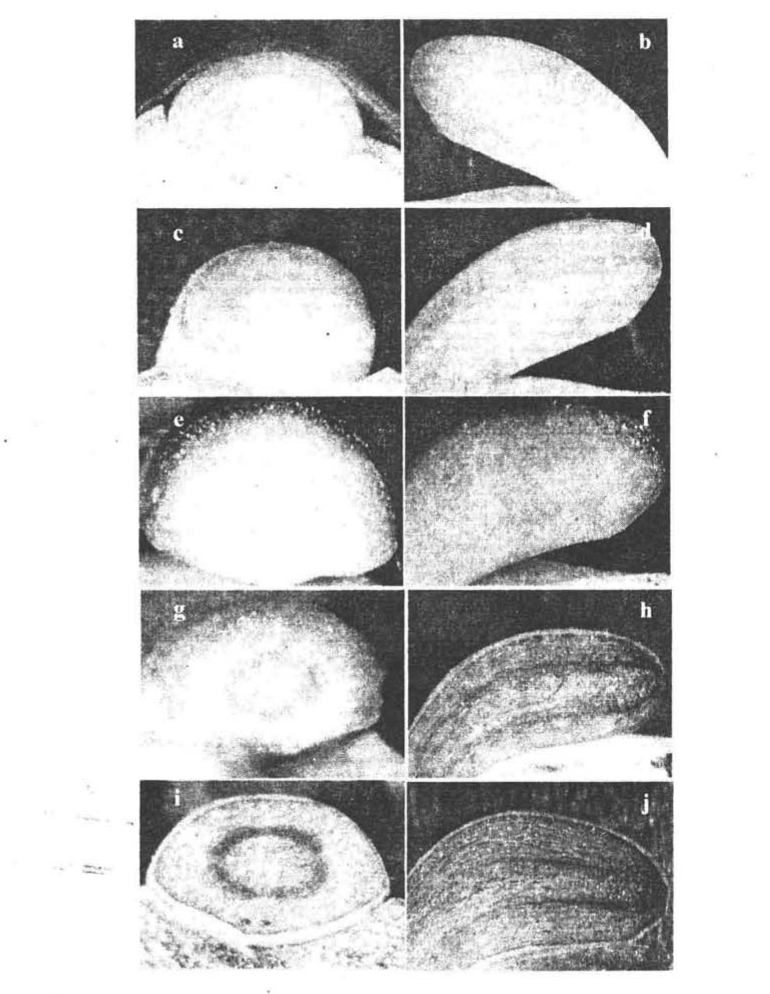 PDF) Plant Stress and Biotechnology