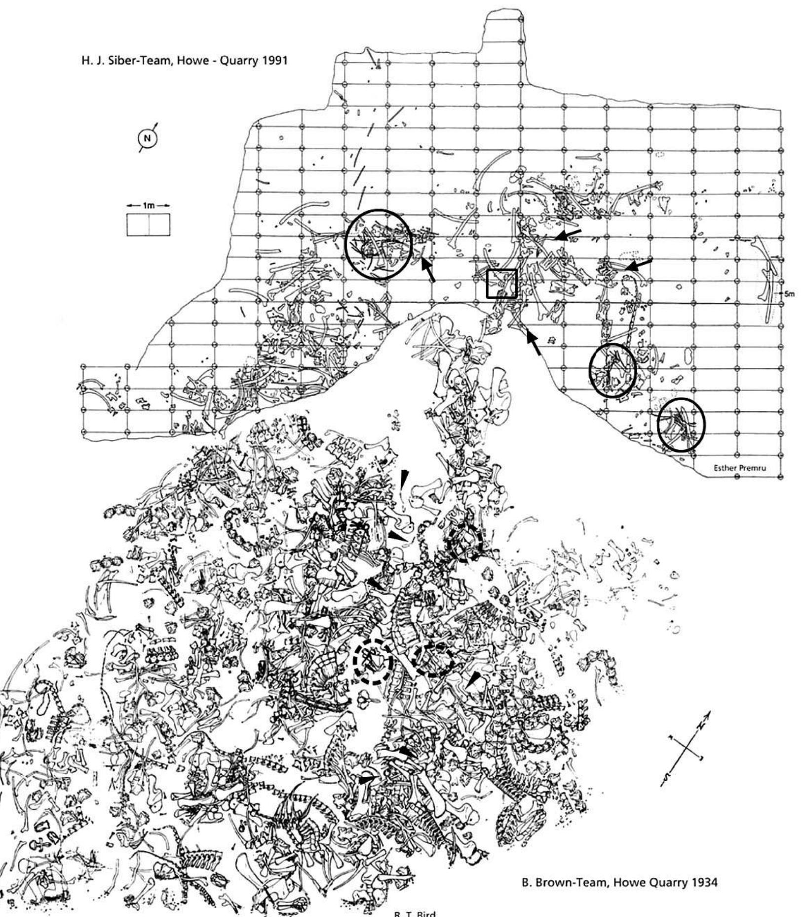 Compiled quarry map of the two excavation periods at the
