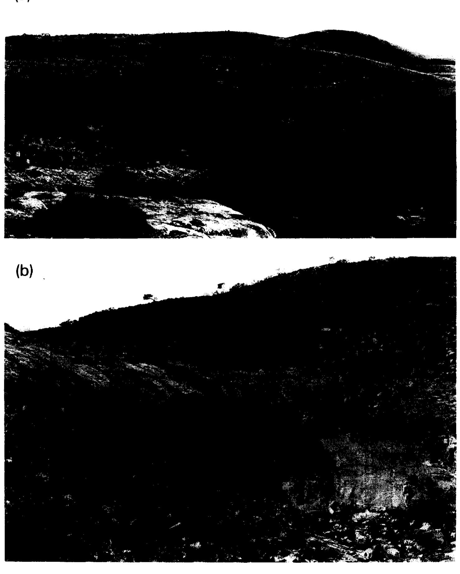 (PDF) On the multistage development of etch forms