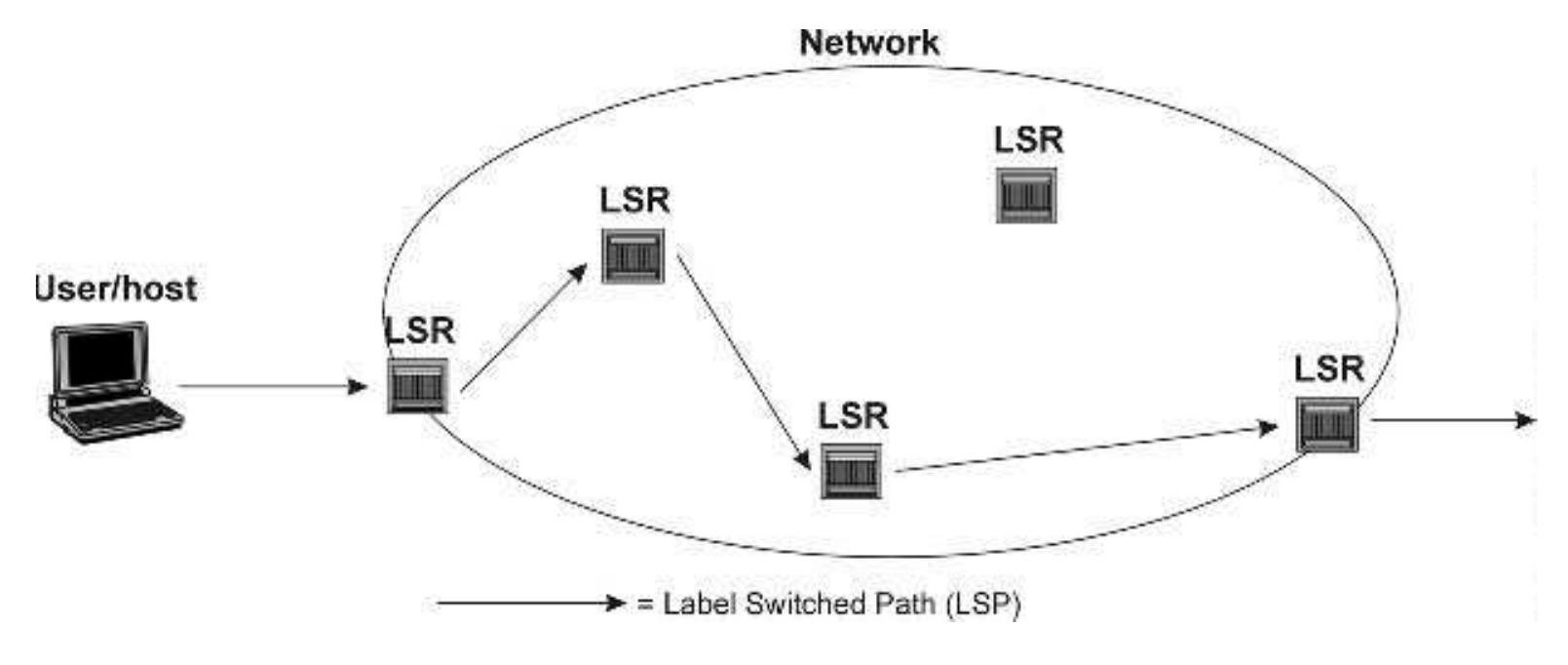 Networking Lsr Upon receiving the packet the next lsr investigates the