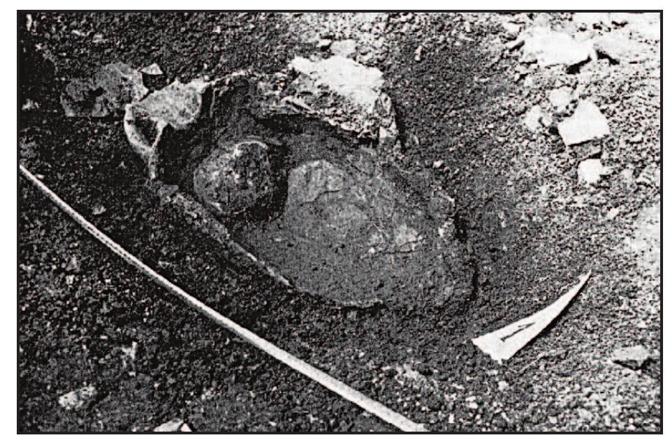 Although all the Spinut amphorae are not necessar- ily contemporaneous, their forms are quite similar despite having been produced in different figlinae (Ibid.: 367), and it is reasonable to see them as com- ing from roughly the same period. This would indi- cate, then, a high level of import of Spanish olive oil in the area of Salona sometime during the second century AD, while the early fragment from Diocle- tian’s Palace suggests at least some contact in the first century. There does not seem to be any con- clusive evidence for later import; Oreb and Marin (1980: 58) identify an amphora from one grave at Sucidar in Split as Dr.23 (used for Spanish olive oil during the third and fourth centuries), but I hesitate to accept their identification since the photograph (Fig. 10) seems to show an amphora with much straighter sides than one would expect with a Dr.23, possibly an African type which found popularity in secondary use as tombs.  Figure 10. Amphora grave no. 1 from Sucidar, Split, identified by Oreb and Marin as Dr. 23, but probably an African type (from Oreb & Marin 1980: pl. 21; reproduced by permission of the Split Archaeological Museum). 