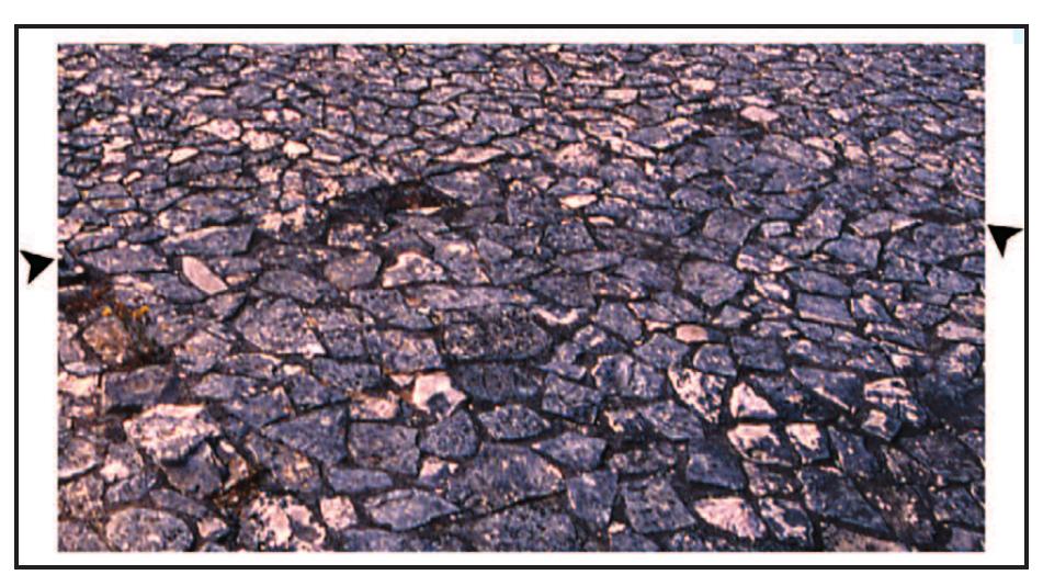 Figure 17. Plan of the villa site at Muline (after Matijasié 1993: 256, fig. 14; reproduced by permission of the author), The rectangular features in area A are stone structures, and those in area B are  markings in the floor.  Figure 18. Detail of the floor of area B in previous figure. Markings re- corded in the site plan are indicated by arrows (photo: K. Glicksman). 