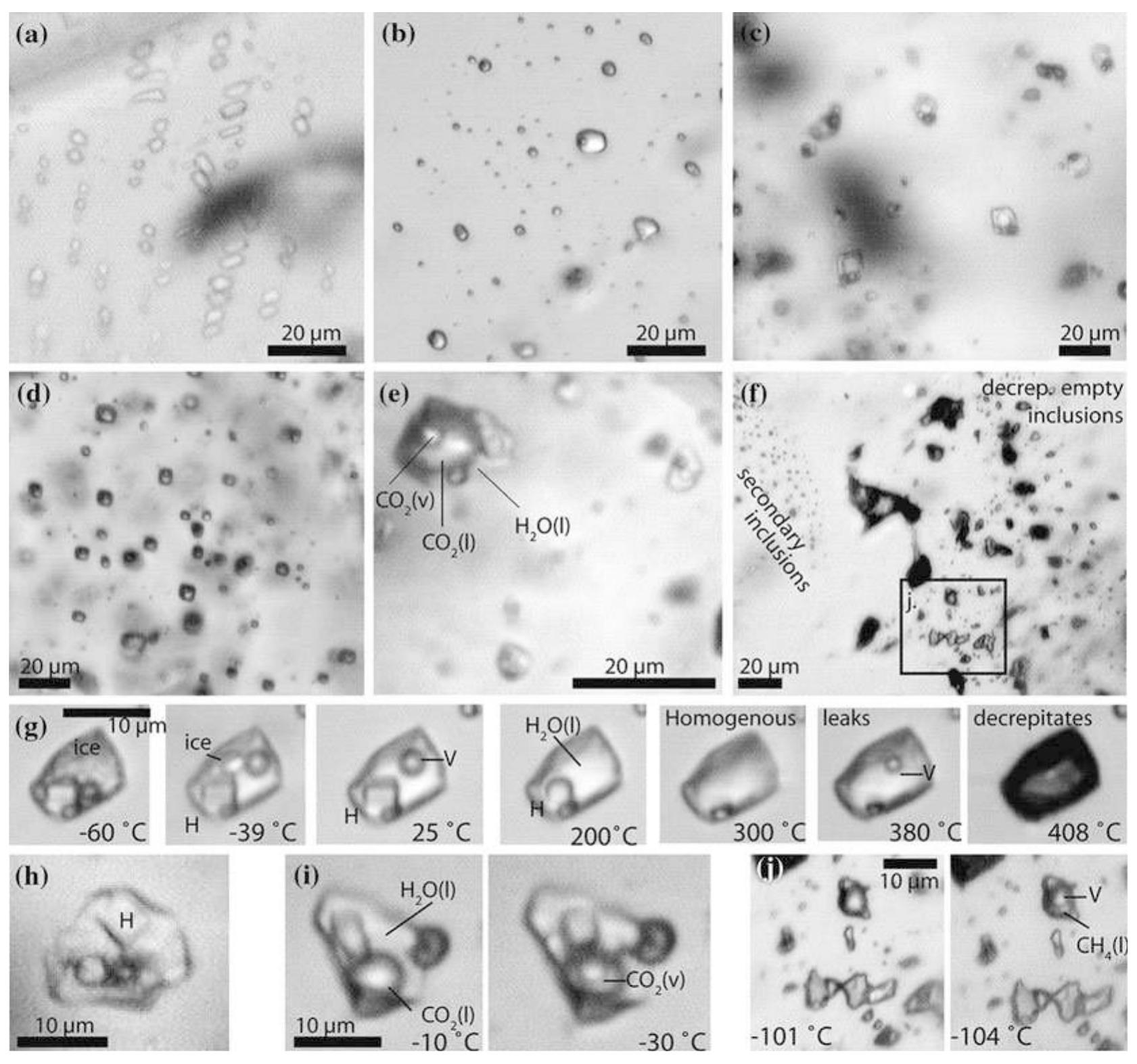 (PDF) Noble Gases and Halogens in Fluid Inclusions: A Journey through ...