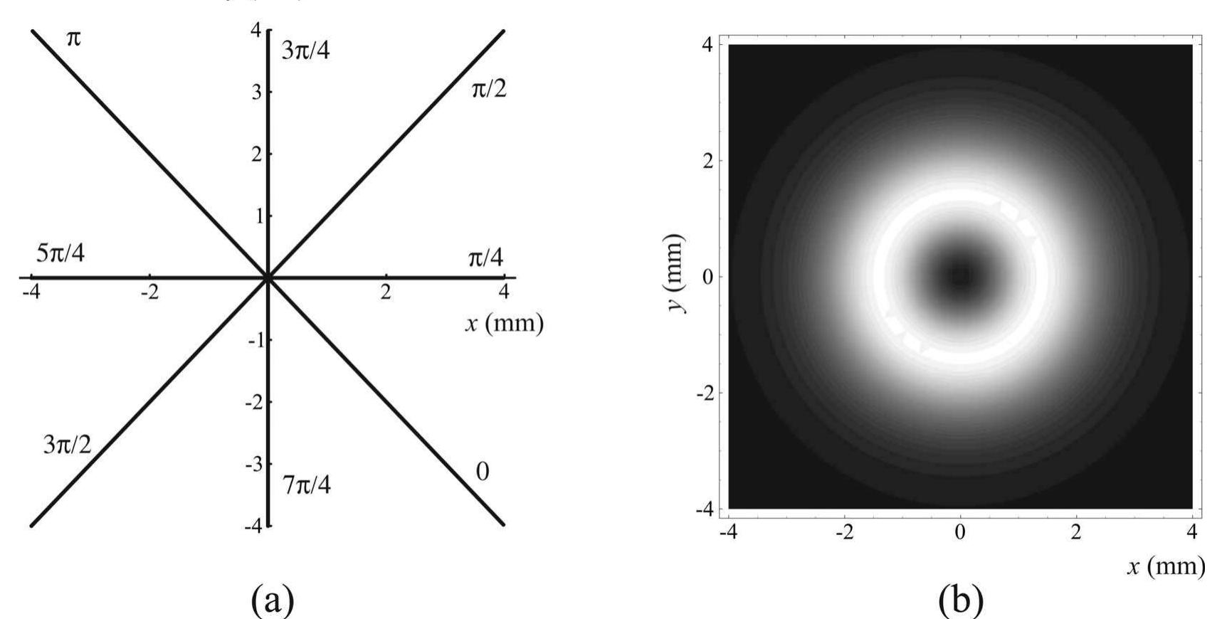 Illustration of the (a) phase and (b) amplitude of a