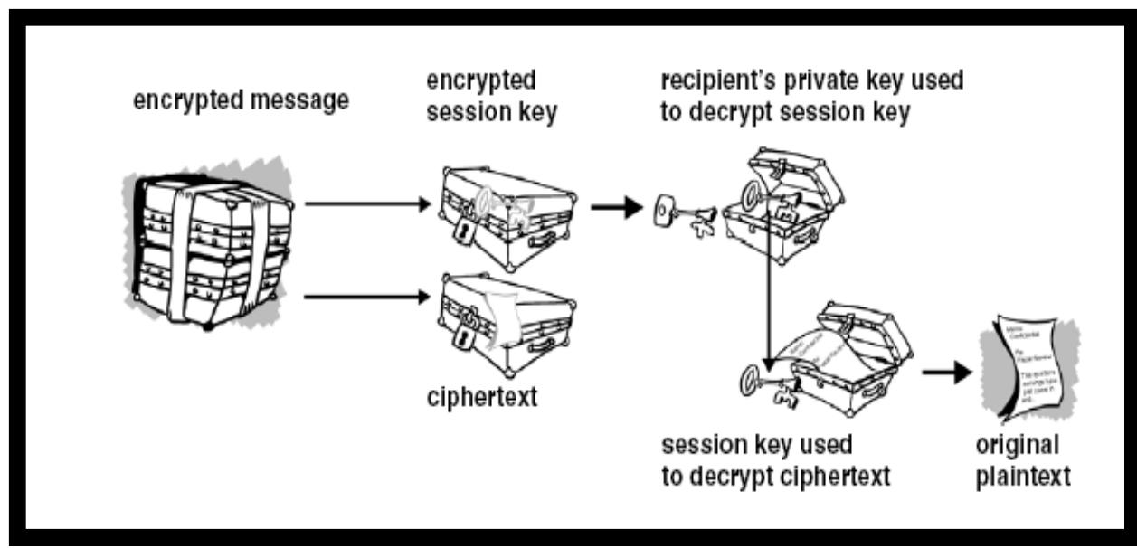 Fig. 2. Received Process 
