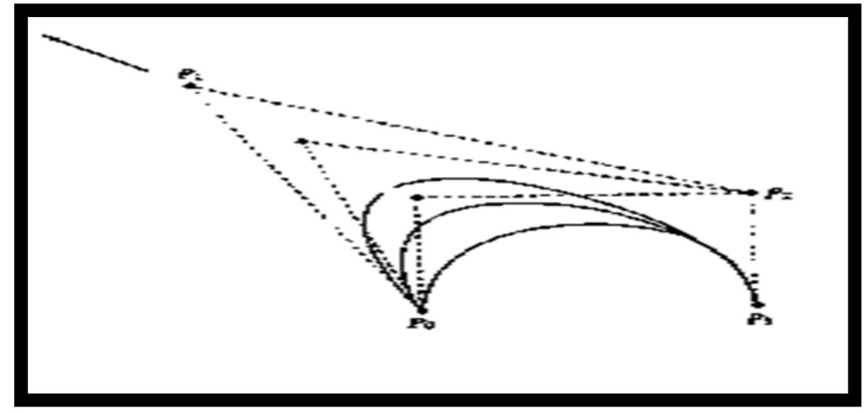 Fig. 4. The effect of changing the position of control point P1.  A B-spline curve exhibits local control- a control point is connected to four segments (in the case of a cubic) and moving a control point can influence only these segments. In figure (4) that shows the effect of changing control points P1. This pulls the segments of curve in the appropriate direction and also affects, to a lesser extent, parts of the curve, thus demonstrating the important locality property of B-spline (Watt, 1999).  5. Generating 2D and 3D digital images using curve fitting techniques 