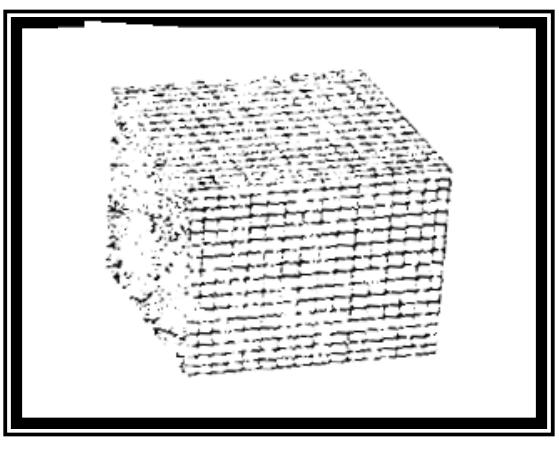 The initialising of a 3D mesh is achieved using the same algorithm that was used to generate the 2D mesh of control points, but by inserting the third coordinate (z) to the control point coordinates, and determining the increment values of the x-, y-, and z-coordinates. In addition, when changing the increment values of the x-, y-, and z-coordinates, we obtain different types of 3D mesh control points, which makes the process of estimating the mesh more difficult for counterfeiters. Figure (10) shows an example of the cubic mesh (3D mesh) with equal increment values (x, y and z) between the control points. 