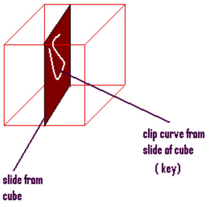 Fig. 14. Example of clipping slides from a 3D image. 