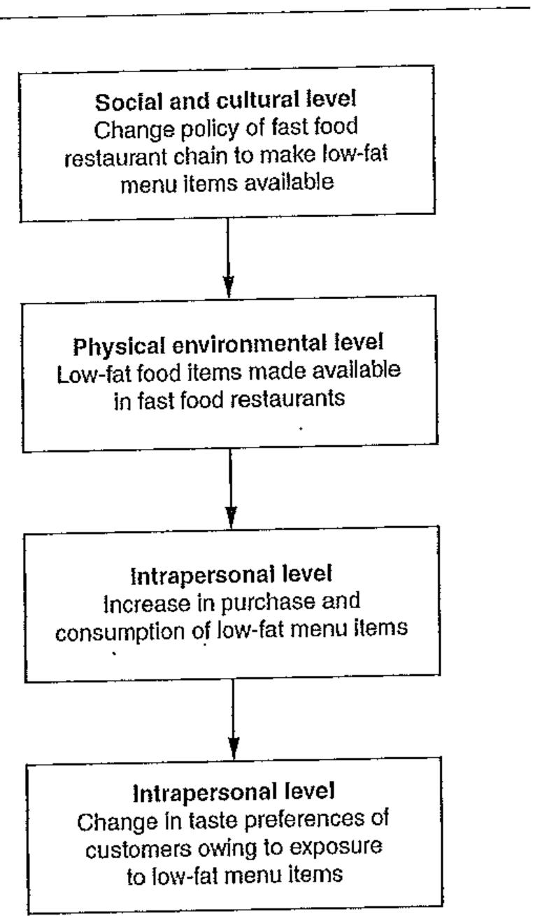 (PDF) Public health nutrition strategies for intervention at the ...