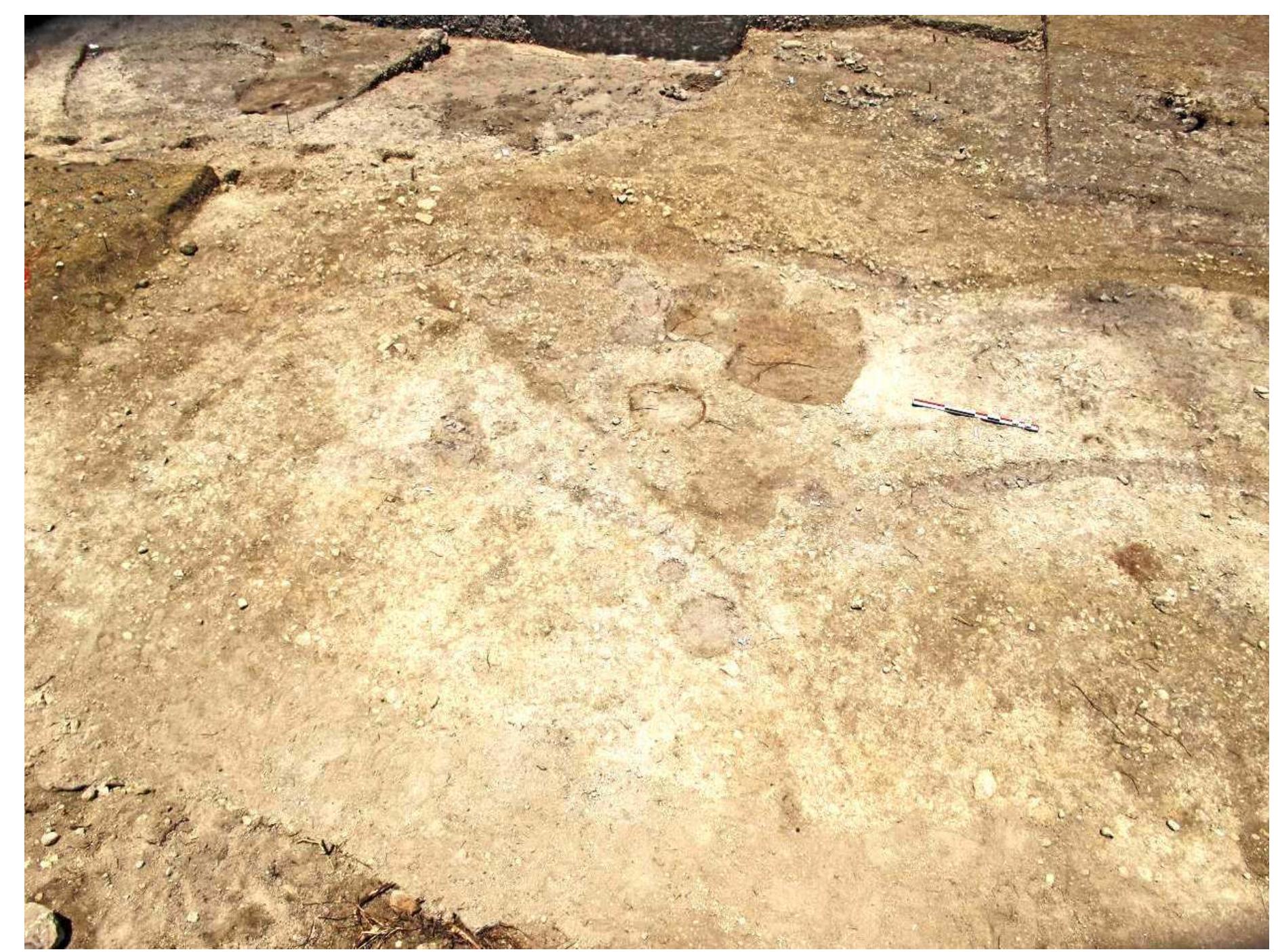 PDF) First wave of cultivators spread to Cyprus at least 10,600 y ago