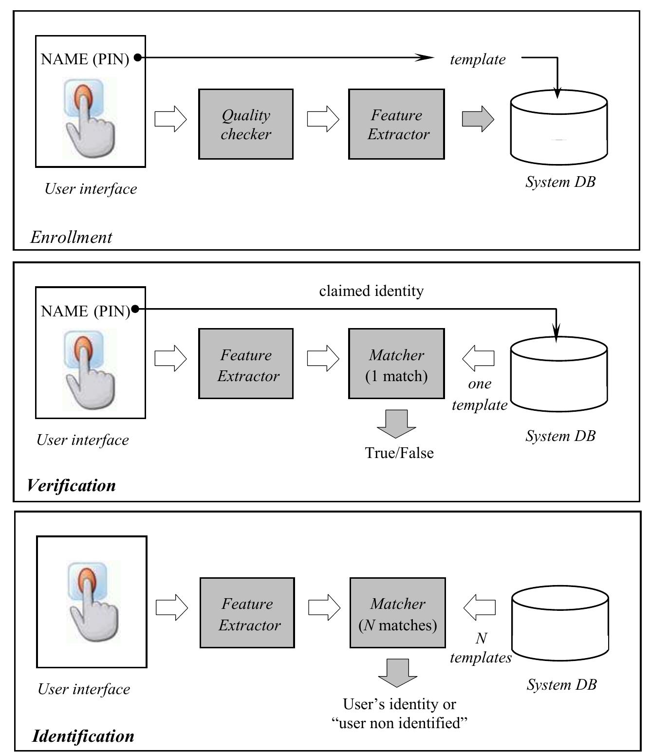 (PDF) An introduction to biometric recognition
