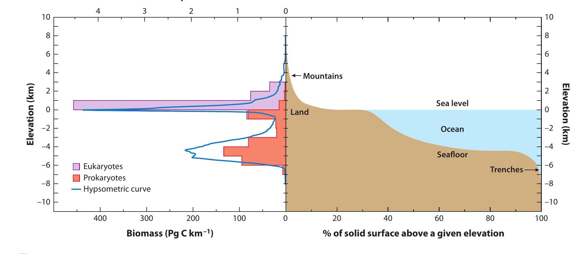 Figure 9 - from The Habitability of Our Earth and Other