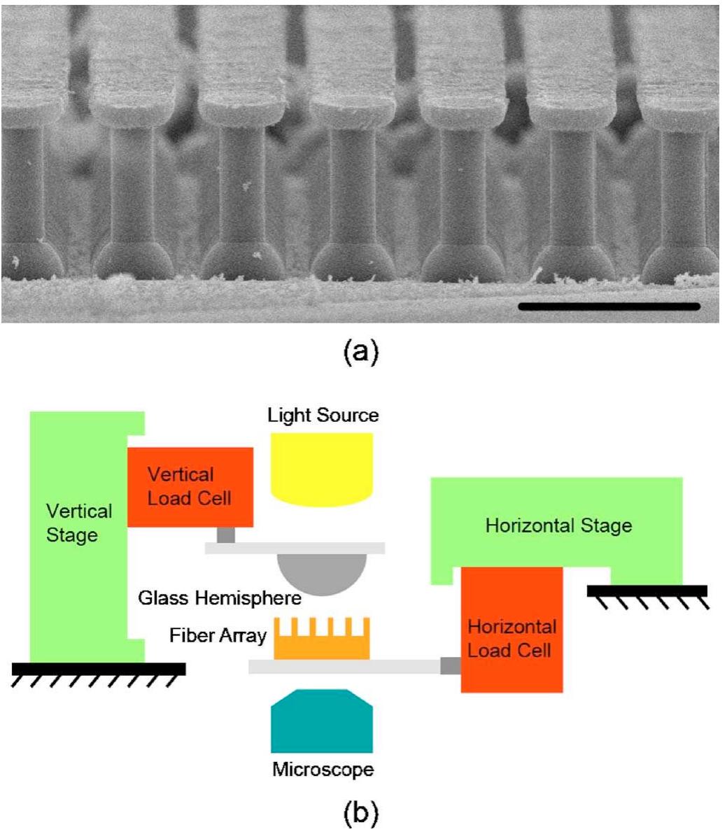 Figure 5 - from The potential of Raman spectroscopy in glass
