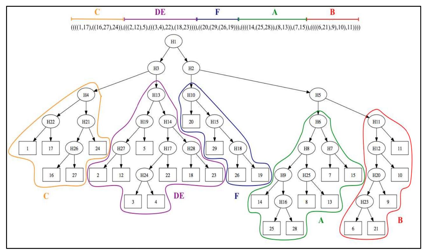 Fitch Algorithm (PDF) Inference of a Phylogenetic Tree: Hierarchical Clustering versus ...