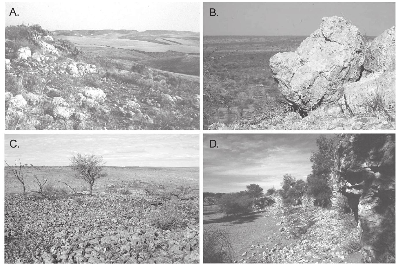 Silcate Rocks Extinction (PDF) Silcrete
