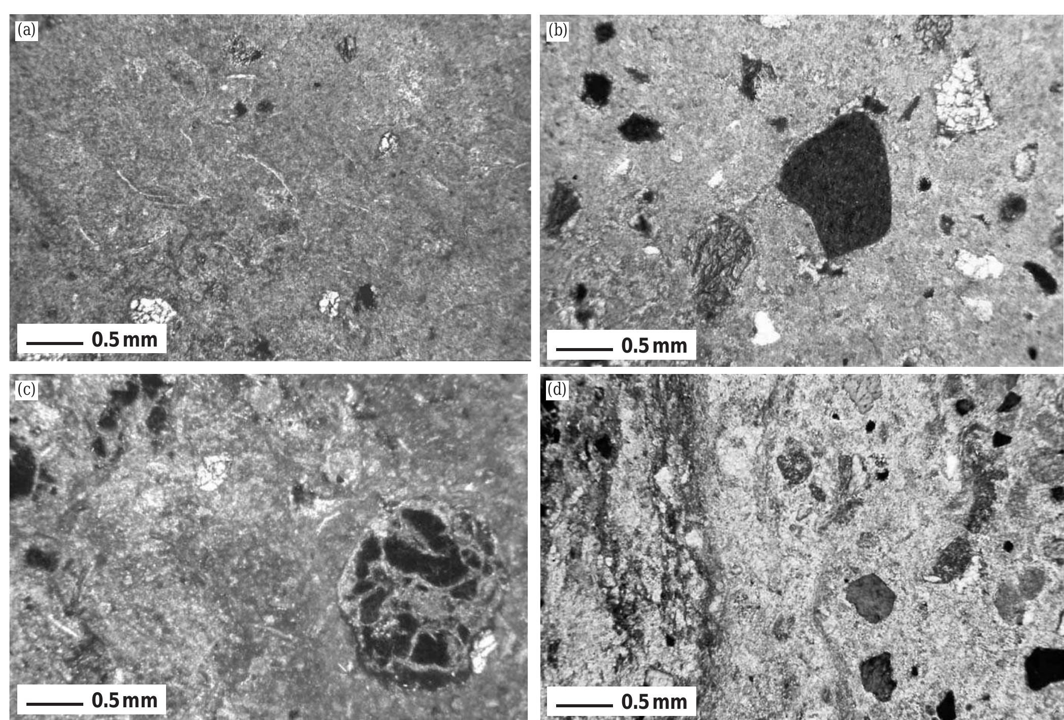 (PDF) Kalahari valley calcretes: their nature, origin and environmental ...