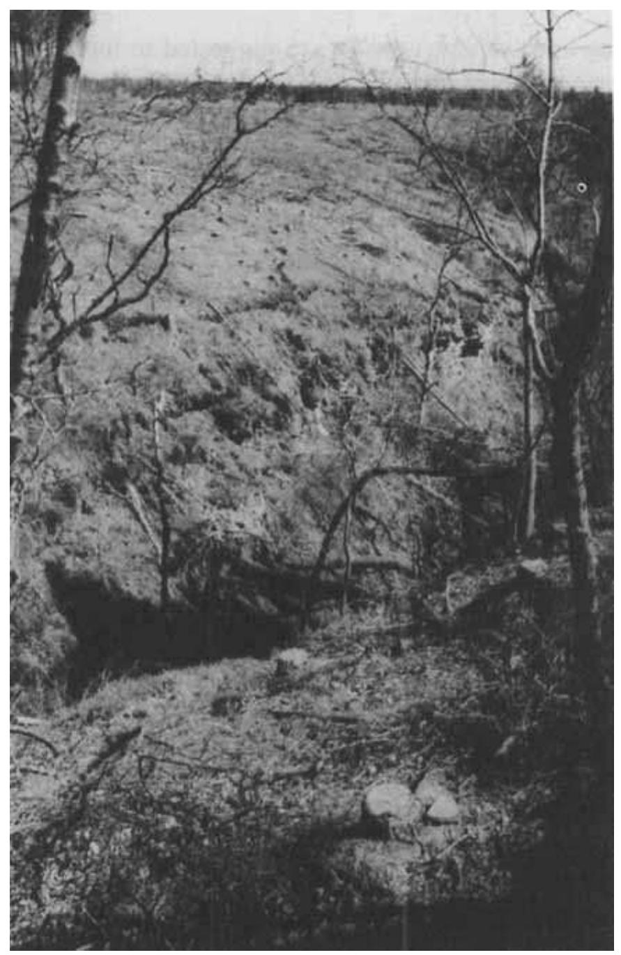 (PDF) Groundwater sapping and valley development in the northern ...