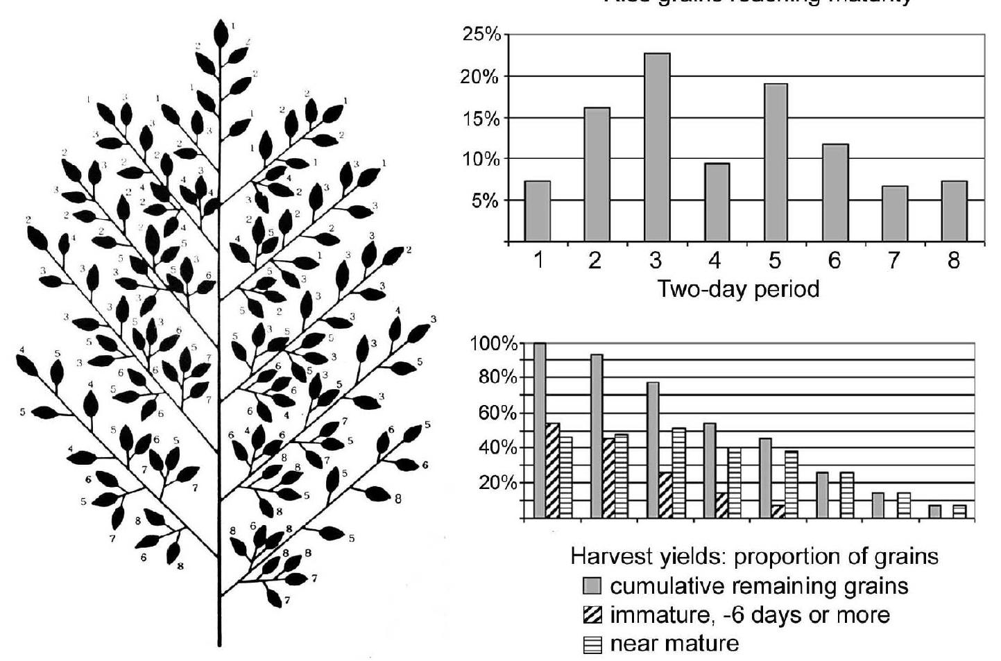 (PDF) An evolutionary model for Chinese rice domestication: reassessing ...