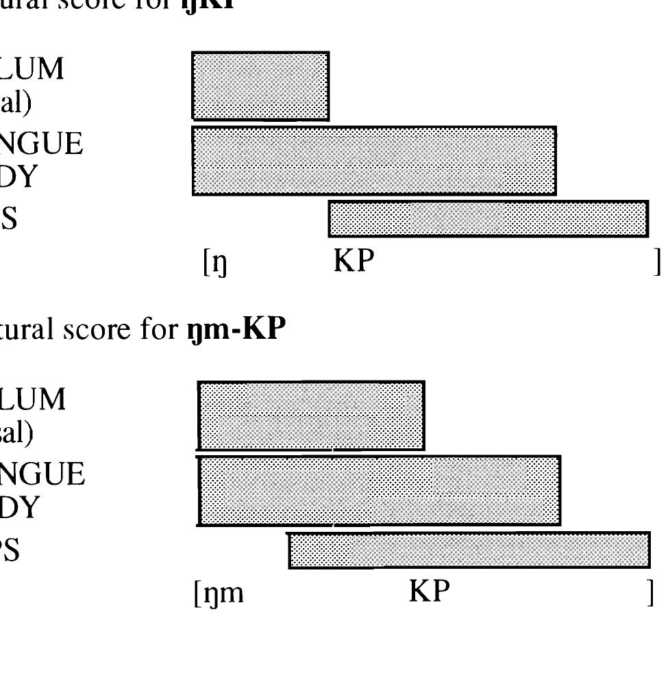 (PDF) Aspects of the phonology of labial-velar stops